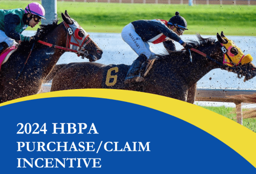 2024 Purchase/Claim Incentive