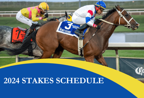 2024 Stakes Schedule