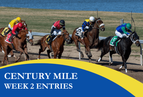 Century Mile Week 2
