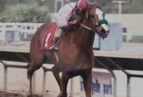 Chris McGregor: Alberta sports hall of fame