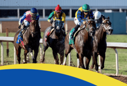 HBPA 2025 Shipping Incentive