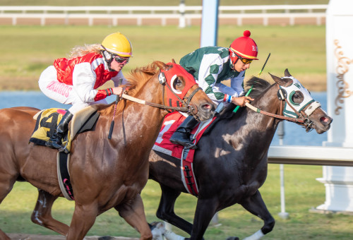 New 2022 Shipping Incentive!