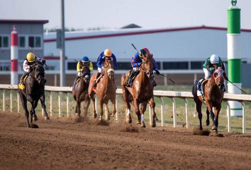 Purchase/Claim Incentive 2025