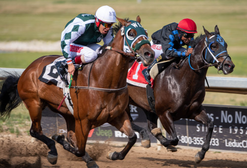 Race Day Experience Sponsorships 2022