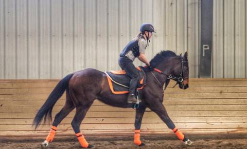 Olds College Programs