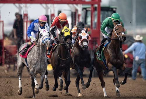 Racing Club - Horse Ownership in Alberta